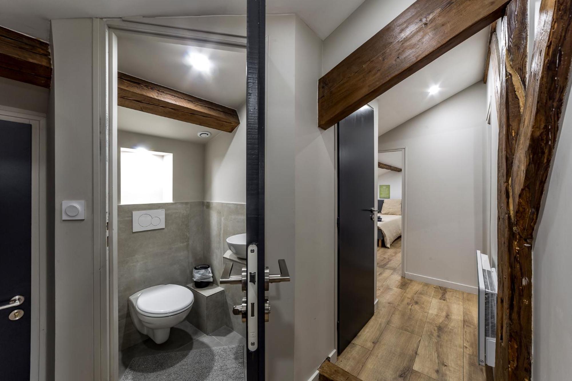 Maison Le Gratte Ciel - Seminaire Ou Famille, Salle De Reunion, 8 Clim, Jardin & Salle De Sport Villa Villeurbanne